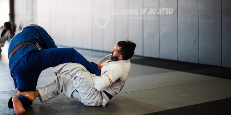 BJJ ACADEMY CLEANING STANDARDS & STAFF ACTION PLAN
